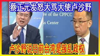 卢沙野说台湾是叛乱政权，蔡正元大骂卢沙野，嘲讽解放军不敢打，说卢沙野超越外交官职责范围、卢沙野嘴碎。大国风云20240630 [upl. by Liris921]