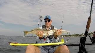 Intracoastal 21 inch Speckled Trout [upl. by Nuarb]