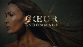 VITAA  Coeur endommagé Lyrics Video [upl. by Raddi]