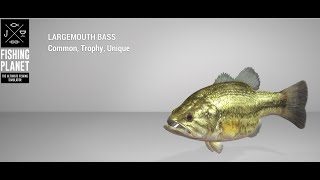 Fishing Planet  Everglades  Unique  Largemouth Bass  Spin [upl. by Colbert610]