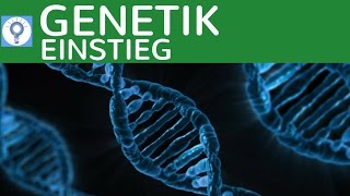 BIOLOGIE NACHHILFE  Genetik amp Vererbung  die neue Serie  Genetik [upl. by Uyerta]