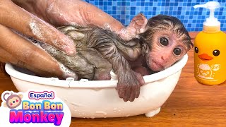 La Canción Del Baño  El Monito Va A Bañarse  Canciones Infantiles  Bon Bon Monkey En Español [upl. by Lucais]