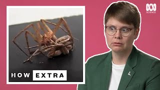 Why Sex Kills Spider Mating  REACTION  How Extra Love Edition  ABC Science [upl. by Tsyhtema504]