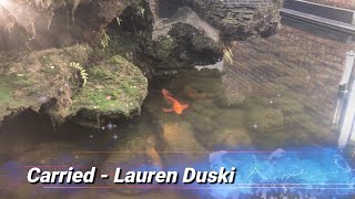 Carried  Lauren Duski [upl. by Koralie169]