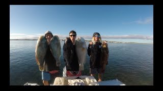 Spearfishing Shark Bay  Against The Current [upl. by Telfore]