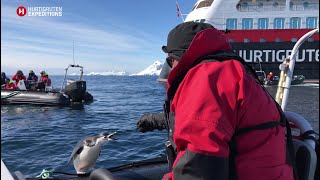 Hurtigruten expedition cruises in Antarctica [upl. by Merilee]