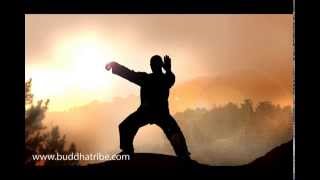 Qi Gong Music Sounds Relaxing Tai Chi Music and QiGong Meditation Nature Music [upl. by Groot]