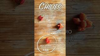 Chilies  tastetheingredients [upl. by Cooe]