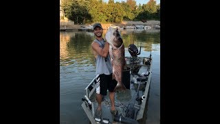 Bowfishing Highlights 2019  50 lb Bighead [upl. by Phaidra388]