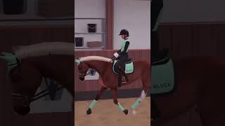 Captain does trot and canter transitions horse equinegame horseriding equinelife horserides [upl. by Malia]