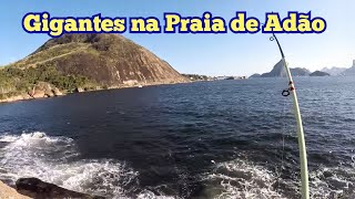 Gigantes na Praia de Adão [upl. by Bubb]