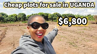 Affordable Land for sale in Uganda 😲 close to main road [upl. by Enelyw874]