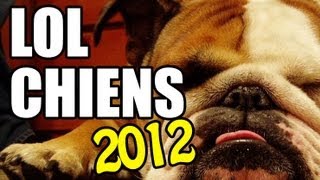 Les meilleures Chiens de 2012 [upl. by Xeno894]