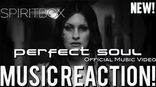 TO ONE’S REALITY SPIRITBOX  Perfect Soul OFFICIAL MUSIC VIDEONew  Music Reaction🔥 [upl. by Ferree146]