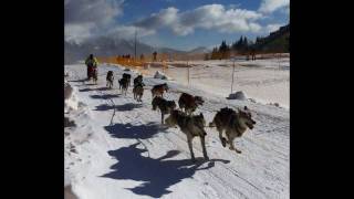 World sleddog championship Donovaly 2011 Slovakia Slideshow [upl. by Schwartz]