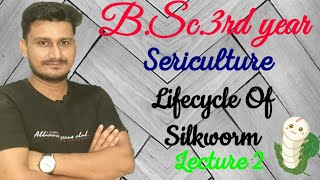 Sericulture  Life cycle of Silkworm  Bombyx mori [upl. by Cinamod385]