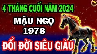 Hé lộ chấn động mậu ngọ 1978 gặp thời đổi vận giàu nứt đố đổ vách 4 tháng cuối năm 2024 [upl. by Rhys5]