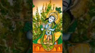 Tulsi ji or Shaligram ji ke vivah ki Badhai ho Tulsi mata jai Tulsi maiya ki [upl. by Anna804]