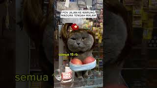 Pov cat catmeme meme kucinglucu catphoto kucing cattax fyp funny short [upl. by Crisey]