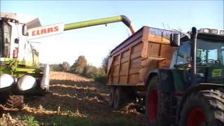 Loonbedrijf Van haeren Wehl Claas Lexion 760 [upl. by Gnagflow928]