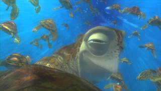 Finding Nemo quotExit Buddyquot Clip [upl. by Clausen551]