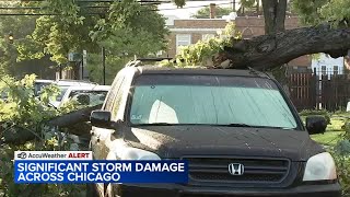 Storms damage cars homes across Chicago area [upl. by Lalad]