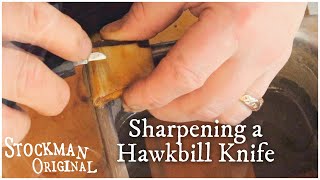 How to Sharpen a Hawkbill Knife for Scrimshaw [upl. by Colley161]