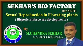 Bisporic embryo sac development with Allium and Endymion types for NEET II BY SEKHARS BIO FACTORY [upl. by Llenroc]