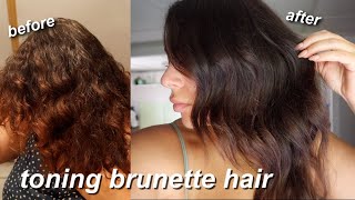 HOW I REMOVE BRASSY RED TONES FROM MY HAIR WHILE STILL KEEPING DIMENSION  TONING MY HAIR AT HOME [upl. by Munniks]