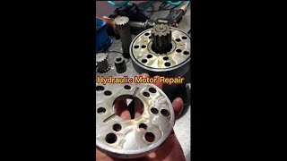 How To Repair Hydraulic Motor [upl. by Gillett262]