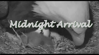 Midnight  December 2223 An Eaglet is Born AEF [upl. by Ahtram943]