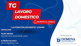 Tg Lavoro Domestico  i lavoratori domestici uomini [upl. by Frager]