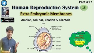 Extra embryonic membranes  amnion yolk sac chorion  Human Reproductive System13 Rajesh Biology [upl. by Atteloiv]