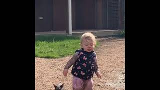 Toddler and baby wombat are playing in puddles and exploring the world together [upl. by Naginarb241]