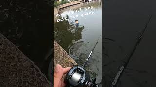 glidebait fishing and a bass swipes my bait 🤦🏻‍♂️🤦🏻‍♂️ bassfishing pondfishing [upl. by Aileda]