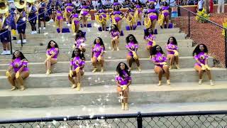 quotLoudquot  GOLDEN STARS  vs Tuskegee University feat STEAMING FLAGS [upl. by Sedgewick]