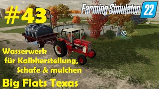 LS22 Big Flats Texas 43 Schafexperiment läuft Kalkproduktion amp mulchen  Farming Simulator 22 [upl. by Retlaw495]