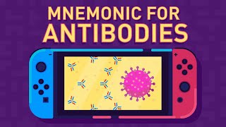 Antibodies and Their Function [upl. by Etienne]