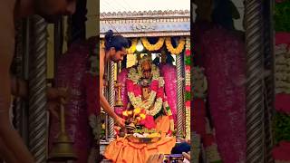 Sankaran Koil Sankaranayanar Gomathi Amman Thirukalyanam 🙏 amman youtubeshorts [upl. by Steward956]