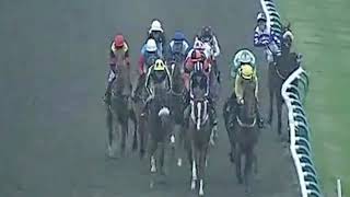 Horse Racing Death 5  Ocean of Peace at Lingfield Park Racecourse [upl. by Noitna]