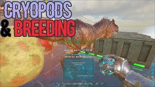 Breeding with Cryopods  Ark Official PVP  Small Tribes [upl. by Tanny663]