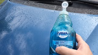 Will Dawn Ultra Remove Your WaxSealant Lets Test [upl. by Siva]