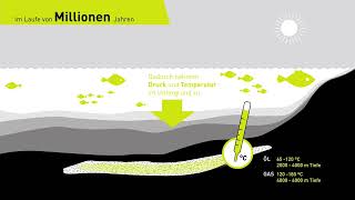 Entstehung von Erdöl und Erdgas [upl. by Nahamas]