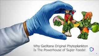 Why Gaditana Original Is The Powerhouse of Super Foods [upl. by Pantin]