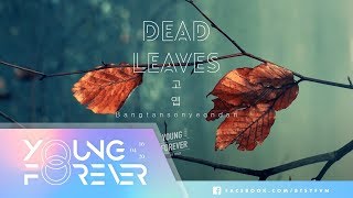 VIETSUBKARA Audio BTS 방탄소년단 Dead Leaves [upl. by Petronille]