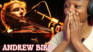 Pure talent First time hearing  Andrew Bird  three white horses  reaction [upl. by Asehr]