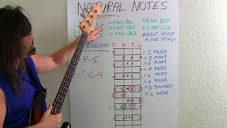 Bass Guitar For Beginners What Bassists Should Know [upl. by Releyks]