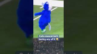 Colts mascot shenanigans nfl colts indianapoliscolts blue mascot popwarnerfootball fighting [upl. by Bertrando]