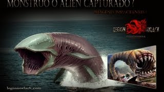 Alien capturado en New Jersey COMPARTELO OxlackCastro [upl. by Ecnerret364]