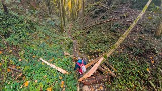 Wolfsschlucht Sonnenberg [upl. by Noletta]